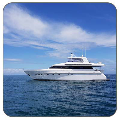   Auckland Boating, Charter & Fishing Tours