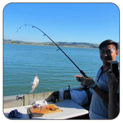 Hamilton New Zealand Fishing Tours