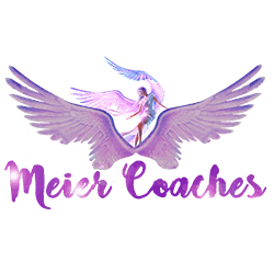 Meier VIP Coaches and Limos